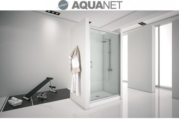 Душевая дверь Aquanet Alfa 150-12 купить в интернет-магазине Sanbest