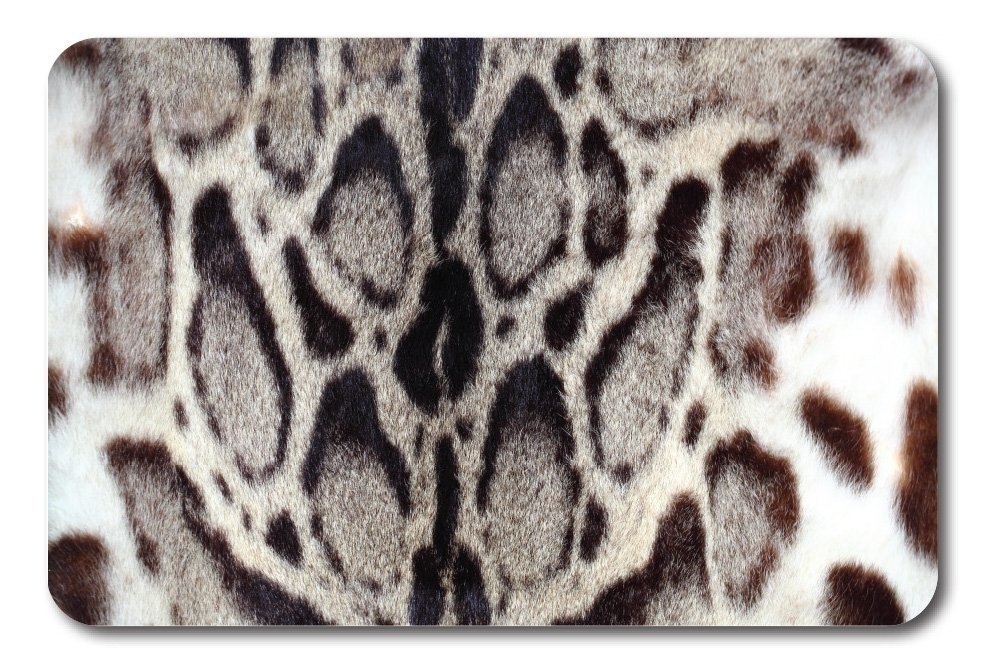 Коврик для ванной и туалета Veragio Carpet рисунок Jaguar купить в интернет-магазине сантехники Sanbest