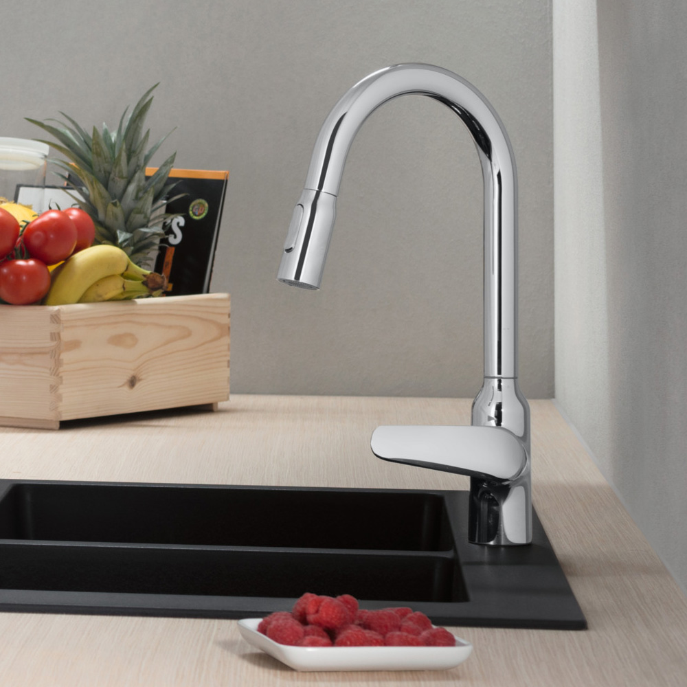 Смеситель для кухни Hansgrohe Focus M42 71800000 хром купить в интернет-магазине сантехники Sanbest