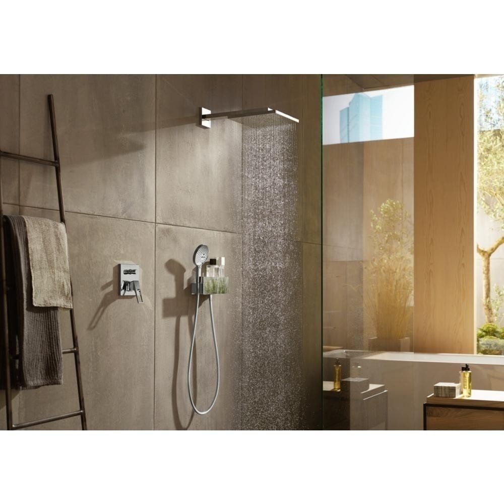 Душевая лейка Hansgrohe Raindance Select S 120 3jet 26530000 купить в интернет-магазине сантехники Sanbest