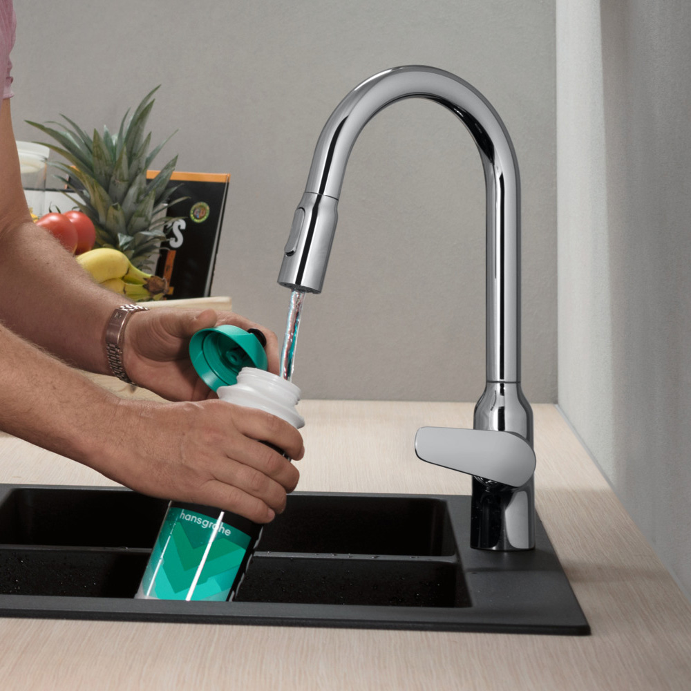 Смеситель для кухни Hansgrohe Focus M42 71800000 хром купить в интернет-магазине сантехники Sanbest