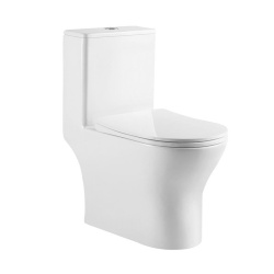 Унитаз-моноблок BelBagno LOUNGE BB8618CPR-MN/SC безободковый, с бачком, с крышкой микролифт купить в интернет-магазине Sanbest