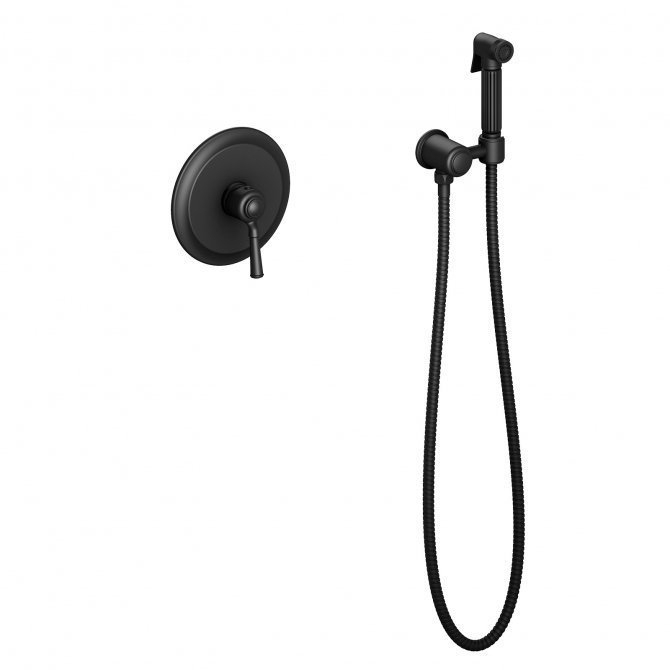 Гигиенический душ со смесителем Timo Arisa 5309/03SM купить в интернет-магазине сантехники Sanbest