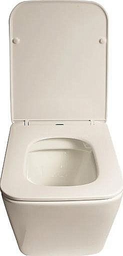 Унитаз подвесной SantiLine SL-5007 безободковый, с крышкой микролифт купить в интернет-магазине Sanbest