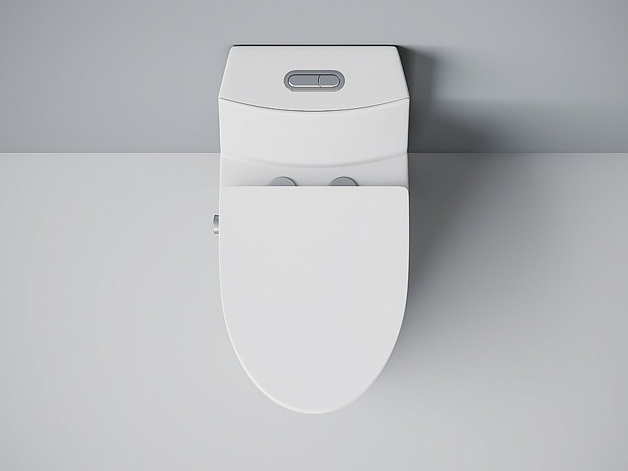 Унитаз-моноблок с функцией биде Laguraty 2100AC с крышкой микролифт купить в интернет-магазине Sanbest