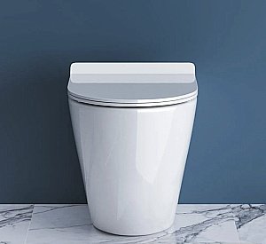 Унитаз приставной BelBagno SFERA-R BB2141CBR безободковый купить в интернет-магазине Sanbest