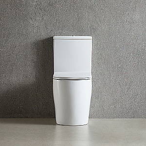 Унитаз напольный Azario Luma AZ-1253ST белый, безободковый, с бачком, с крышкой микролифт, слив торнадо купить в интернет-магазине Sanbest