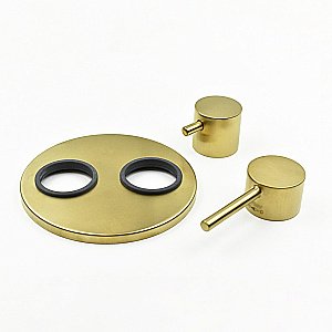 Смеситель для душа PAINI Cox 78PJ6911 золото матовое купить в интернет-магазине сантехники Sanbest