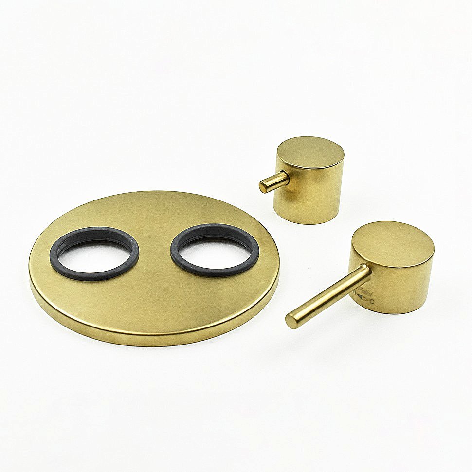 Смеситель для душа PAINI Cox 78PJ6911 золото матовое купить в интернет-магазине сантехники Sanbest