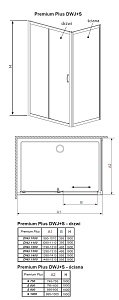 Душевой уголок Radaway Premium Plus DWJ+S 100x75 купить в интернет-магазине Sanbest