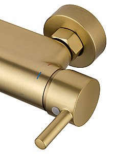 Смеситель для душа с встроенным изливом WONZON & WOGHAND MUSE Corno, Брашированное золото (WW-A30902-BG) купить в интернет-магазине сантехники Sanbest