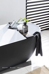 Акриловая ванна Aquanet DELIGHT 289723 170x78 белый/черный купить в интернет-магазине Sanbest