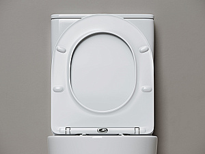 Унитаз напольный Ceramica Nova Mia CN1801T-B/CN1801T-T белый, безободковый, с крышкой микролифт, слив торнадо купить в интернет-магазине Sanbest