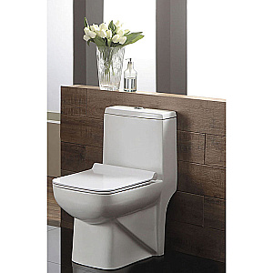 Унитаз моноблок Azario Zeno AZ-1169 белый, с крышкой микролифт купить в интернет-магазине Sanbest