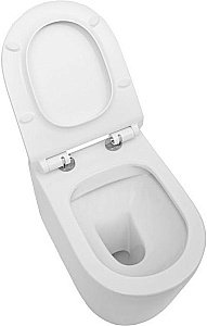 Подвесной унитаз Aquanet Rimless Atago-W BL-104N-WHT с крышкой микролифт, безободковый купить в интернет-магазине Sanbest