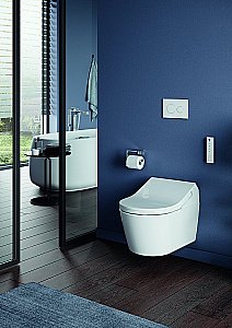 Крышка-биде Toto WASHLET RX TCF894CG#NW1 с дистанционным управлением купить в интернет-магазине Sanbest