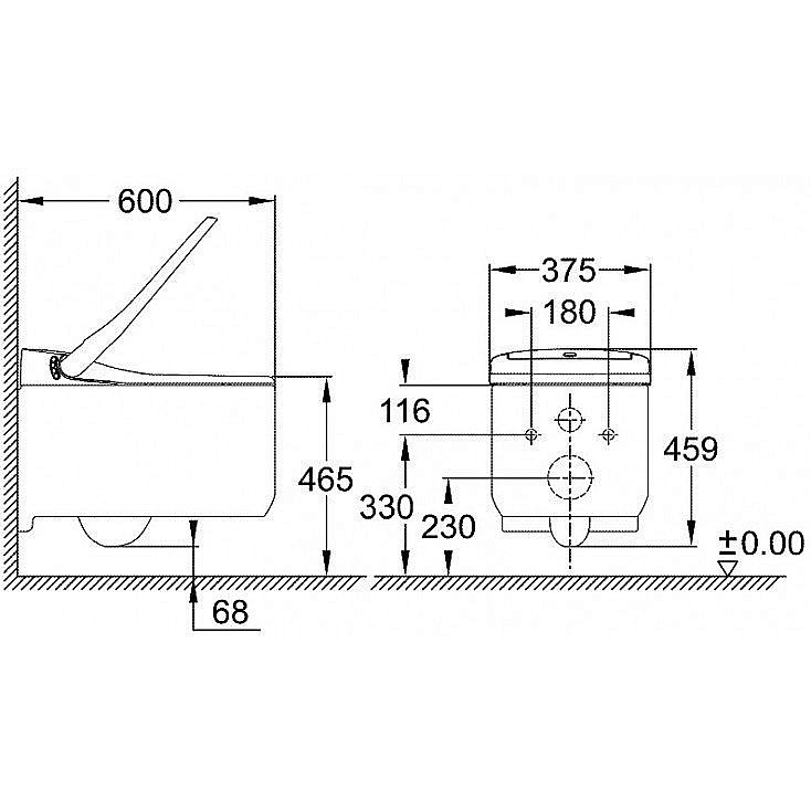 Унитаз-биде Grohe Sensia Arena 120172 безободковый, с крышкой микролифт, с инсталляцией, слив-торнадо купить в интернет-магазине Sanbest