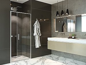 Душевая дверь Alex Baitler 110 AB61C110 стекло прозрачное/профиль сатин купить в интернет-магазине Sanbest