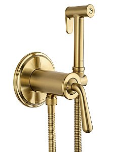 Смеситель с гигиеническим душем встраиваемый WONZON & WOGHAND STEAM, Брашированное золото (WW-88829008-BG) купить в интернет-магазине сантехники Sanbest