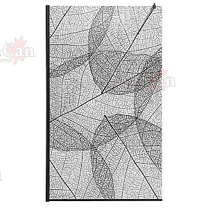 Душевое ограждение AvaCan MB100 профиль черный/стекло прозрачное с рисунком купить в интернет-магазине Sanbest