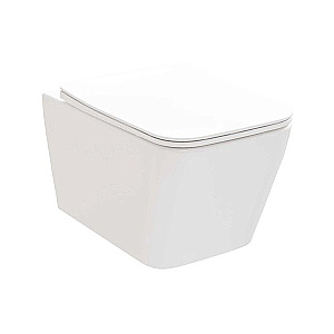 Унитаз Ravak NATURAL X01984 белый,с крышкой микролифт, безободковый купить в интернет-магазине Sanbest