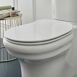 Унитаз напольный Jacob Delafon CLEO 1889 UJAC102-0 безободковый, с бачком, белый купить в интернет-магазине Sanbest