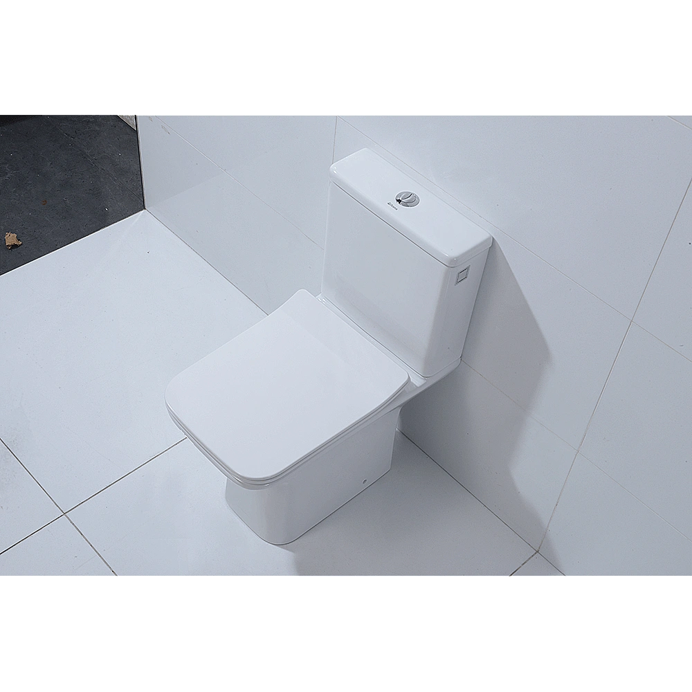 Унитаз-компакт Orans Ceramic OLS-WM9905 безободковый, с бачком, с крышкой микролифт купить в интернет-магазине Sanbest