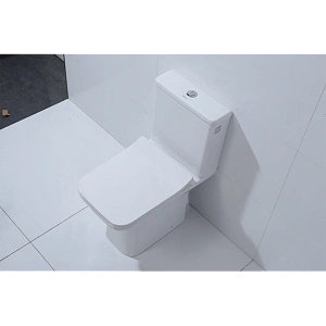 Унитаз-компакт Orans Ceramic OLS-WM9905 безободковый, с бачком, с крышкой микролифт купить в интернет-магазине Sanbest