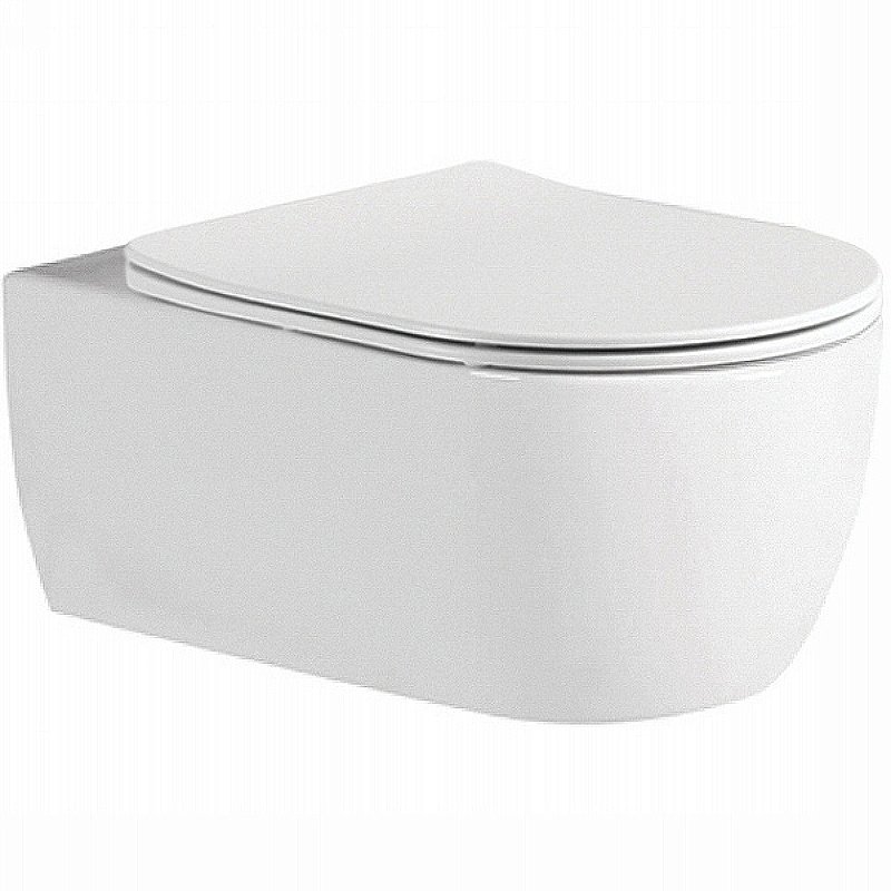 Унитаз подвесной Aquatek Европа AQ1106L-00 белый, с крышкой микролифт, безободковый купить в интернет-магазине Sanbest