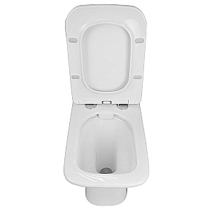 Унитаз напольный Azario Formal AZ-1353B белый, безободковый, с бачком, с крышкой микролифт купить в интернет-магазине Sanbest