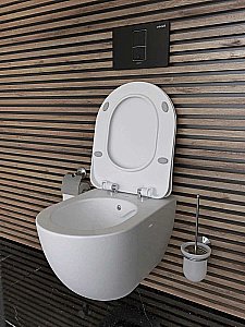 Унитаз подвесной с функцией биде Creavit Free FE322-00MB00E-0000 белый матовый, безободковый купить в интернет-магазине Sanbest