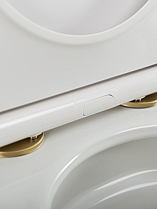 Унитаз подвесной Cezares STYLUS-TOR 2.0 CZR-546-TH-TOR/SC белый, безободковый, с крышкой микролифт, слив торнадо купить в интернет-магазине Sanbest