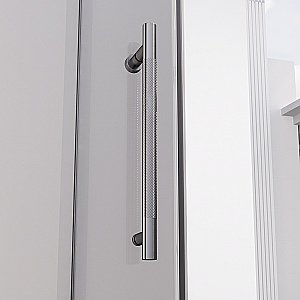 Душевая дверь Veconi Premium Alassio GR AL-140-00-GR-C4 140 стекло прозрачное осветленное/профиль брашированный графит купить в интернет-магазине Sanbest