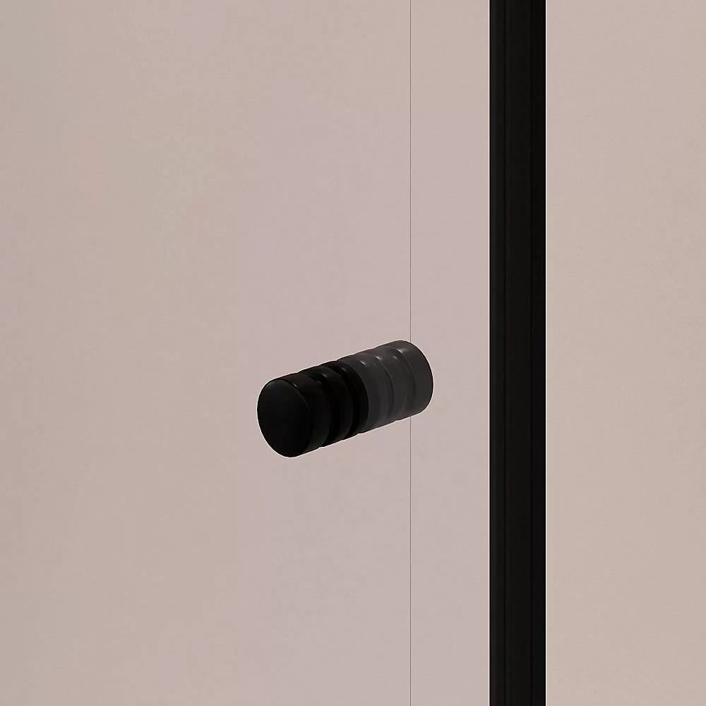 Душевой уголок RGW Passage PA-44B (PA-02B + Z-050-1B) 41084410-014 120x100 стекло прозрачное/профиль черный купить в интернет-магазине Sanbest