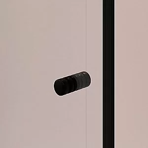 Душевой уголок RGW Passage PA-44B (PA-02B + Z-050-1B) 41084410-014 120x100 стекло прозрачное/профиль черный купить в интернет-магазине Sanbest