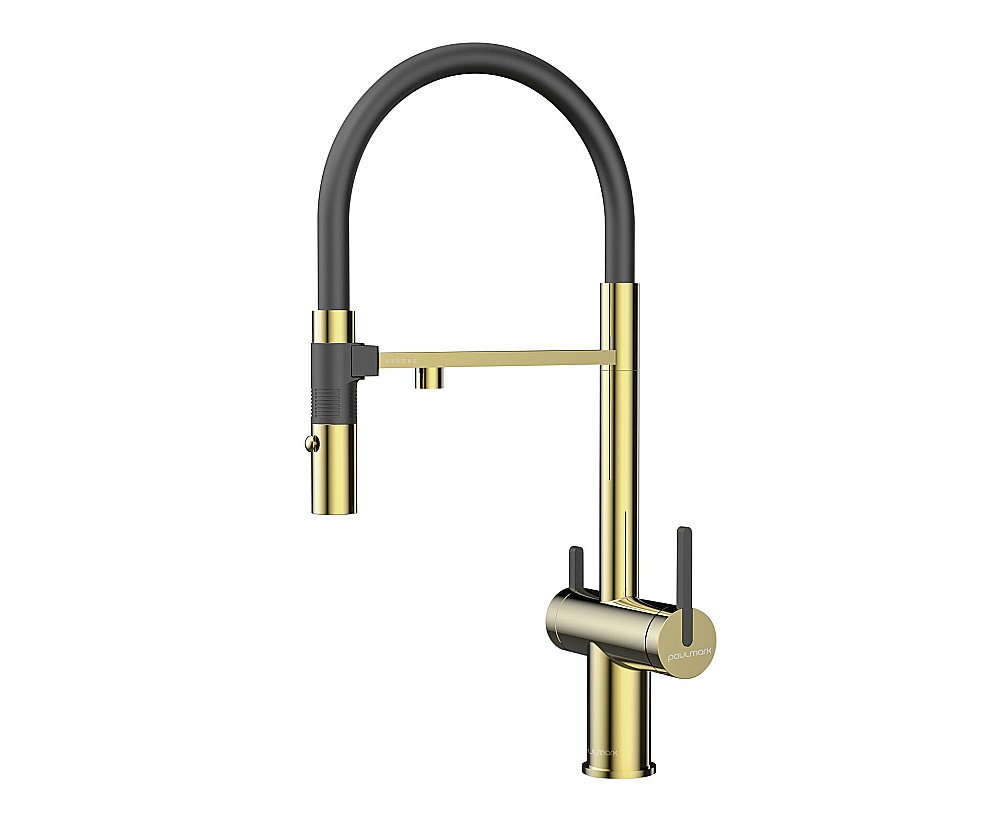Смеситель для кухни Paulmark Gravity Gr213888-G золото купить в интернет-магазине сантехники Sanbest