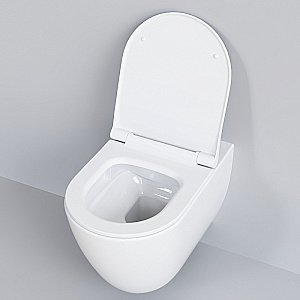 Унитаз Ambassador Queen 113T20001R-112T20001S белый, безободковый, с крышкой микролифт купить в интернет-магазине Sanbest