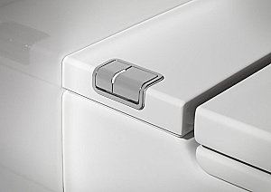 Унитаз приставной Roca Meridian In-Tank 893303000 с крышкой микролифт купить в интернет-магазине Sanbest