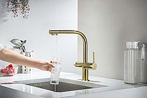 Смеситель для кухни Aquatek Европа AQ1385BG золото шлифованное купить в интернет-магазине сантехники Sanbest