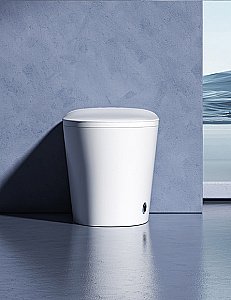 Унитаз приставной с функцией биде SantiLine SL-5036 белый, безободковый, с крышкой микролифт, слив торнадо купить в интернет-магазине Sanbest