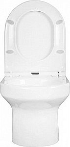 Унитаз подвесной Jacob Delafon ELITE E21742RU-00 безободковый, с крышкой микролифт, с инсталляцией и кнопкой хром купить в интернет-магазине Sanbest