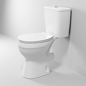 Унитаз-компакт Niagara Brava NG-9901 белый, с крышкой микролифт, с бачком купить в интернет-магазине Sanbest