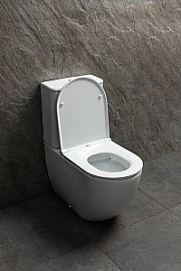 Унитаз-компакт Allen Brau Priority 3 4.31006.20 белый, безободковый, с крышкой микролифт купить в интернет-магазине Sanbest