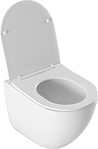Подвесной унитаз Aquanet EcoVortex 348039 слив-торнадо, с крышкой микролифт, белый глянцевый купить в интернет-магазине Sanbest