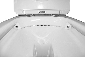 Унитаз подвесной Azario Atrio AZ-2330 белый, безободковый, с крышкой микролифт купить в интернет-магазине Sanbest