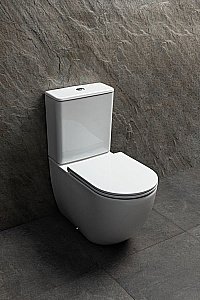 Унитаз-компакт Allen Brau Priority 3 4.31006.20 белый, безободковый, с крышкой микролифт купить в интернет-магазине Sanbest