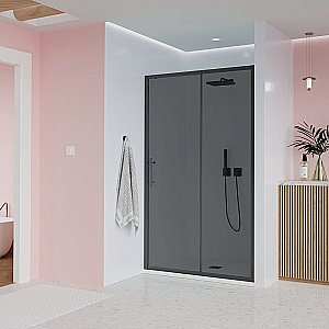 Душевая дверь Veconi Evo 170 стекло тонированное матовое, профиль брашированный графит купить в интернет-магазине Sanbest