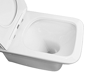 Унитаз напольный Azario Fresco AZ-8302 белый, безободковый, с бачком, с крышкой микролифт купить в интернет-магазине Sanbest