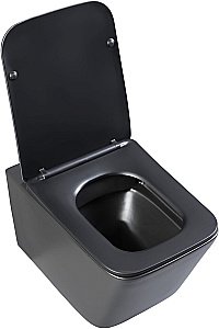 Унитаз подвесной Aquanet Rimless Tavr-W BL-103N-WHT black черный матовый, с крышкой микролифт, безободковый купить в интернет-магазине Sanbest