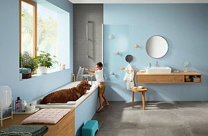 Душевая лейка Hansgrohe Croma Select E 110 Multi 26810400 купить в интернет-магазине сантехники Sanbest